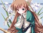  brown_hair dress flowers heterochromia long_hair long_sleeves rozen_maiden solo suiseiseki tagme 