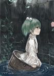 bad_id bucket flower green_hair in_bucket in_container kisume masuchi short_hair touhou twintails well 
