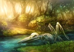  bush bushes flower forest grass nature no_humans noki_(affabile) original river scenery skull sunlight tree 