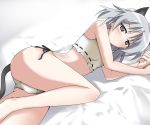  artist_request bed blush cat_ears cat_tail grey_eyes grey_hair lying nyabe panties sanya_v_litvyak side-tie_panties solo strike_witches tail underwear 