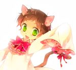  animal_ears axis_powers_hetalia bad_id cat_ears child fang green_eyes kbtrk kemonomimi_mode male ribbon solo spain_(hetalia) tail tail_ornament tail_ribbon 