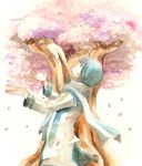  cherry_blossoms kaito miyuki_(aoisan) scarf traditional_media tree vocaloid watercolor_(medium) 