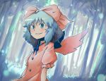  blue_hair face forest hair_ribbon mai_(touhou) nature ribbon ryuhey smile solo touhou touhou_(pc-98) wings 