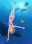  barefoot bikini blue_eyes brown_hair bubble fish freediving original shirasu short_hair solo swimming swimsuit underwater upside-down whale 