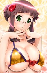  breasts brown_hair cleavage fujisawa_yayoi glasses green_eyes hair_ornament large_breasts short_hair swimsuit uchuu_no_stellvia ueyama_michirou 