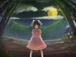  bamboo bamboo_forest black_hair bunny_ears carrot fisheye forest full_moon glowing glowing_eyes house inaba_tewi jewelry looking_at_viewer moon mountain nature night pendant rabbit_ears red_eyes short_hair smoke standing stare touhou tsukuda yagokoro_eirin 