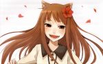    animal_ears blush brown_hair flower holo long_hair petals red_eyes spice_and_wolf wolfgirl   