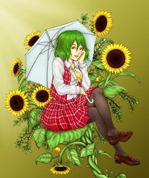  crossed_legs enmatime flower green_hair hand_on_own_face kazami_yuuka pantyhose parasol plaid plaid_skirt plaid_vest red_eyes shoe_dangle shoes short_hair sitting skirt skirt_set sunflower touhou umbrella 