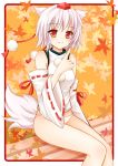  animal_ears bare_legs bare_shoulders detached_sleeves hat inubashiri_momiji leaf maple_leaf nikoo no_pants panties pointing pointing_up sitting solo tail tokin_hat touhou underwear white_hair white_panties wolf_ears wolf_tail 