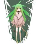 blood datsuryokugen green_eyes green_hair long_hair monster_girl original pointy_ears poncho solo 