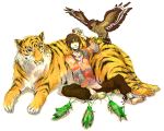  bird brown_hair grasshopper hawk highres hino_eiji kamen_rider kamen_rider_ooo kamen_rider_ooo_(series) medal pants shirt tiger 