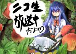  branch food fruit hinanawi_tenshi leaf nanashina nico_nico_douga peach sitting smile touhou translated translation_request 