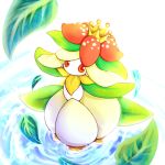  crown leaf lilligant no_humans pokemon pokemon_(creature) pokemon_(game) pokemon_black_and_white pokemon_bw red_eyes shikei_(jigglypuff) water 