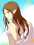  blue_eyes long_hair looking_back nintendo o-yuki pointy_ears princess_zelda swimsuit the_legend_of_zelda twilight_princess 