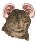  animal artist_request cat ears tagme what 