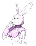  .hack//games animal_ears armor bunny_girl bust furry gauntlets mia_(.hack//) nanashin puffy_sleeves rabbit_ears ribbon smile solo 