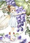  blue_eyes brown_hair fairy feet food fruit grapes hair_ornament hair_up holding holding_fruit minigirl original shiitake_(gensoudou) solo standing wings 