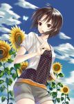  black_eyes black_hair butterfly casual flower idolmaster idolmaster_2 kikuchi_makoto kisugi_akira short_hair sunflower 