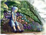  blue_eyes blue_hair bow cirno flower frog gradient_hair green_hair hair_bow hydrangea multicolored_hair puddle rainbow rock sitting sitting_on_object touhou v_arms wings 