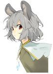  animal_ears bust capelet face grey_hair jewelry looking_at_viewer minakata_sunao mouse_ears nazrin pendant red_eyes solo touhou 