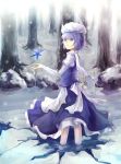 blue_eyes blue_hair hat ice lavender_hair letty_whiterock rifsom snow solo touhou water 