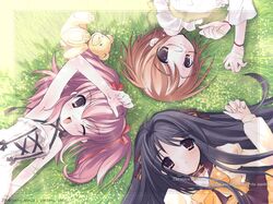  glasses grass highres itou_noiji komorebi_ni_yureru_tamashii_no_koe kouenji_ayana outdoors ribbon sui_(komorebi) tachibana_koharu wallpaper 