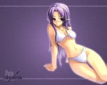  bikini braid caster fate/hollow_ataraxia fate/stay_night fate_(series) long_hair missing_link pointy_ears purple purple_eyes purple_hair shingo shingo_(missing_link) swimsuit wallpaper 