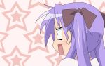  1girl hiiragi_kagami lucky_star tagme 