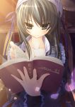  blue_eyes blush book breasts cleavage detached_sleeves frills hat highres lamp long_hair original petals rozea solo 