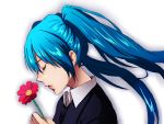  bad_id blue_hair closed_eyes face flower formal hatsune_miku long_hair minami_haruya saihate_(vocaloid) simple_background solo twintails vocaloid 