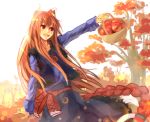  apple basket brown_hair food fruit holo lens_flare light_kiseki long_hair lowres red_eyes solo spice_and_wolf tree very_long_hair wolf_ears 