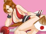  bare_shoulders breasts brown_hair king_of_fighters large_breasts long_hair on_side shiranui_mai smile snk solo 