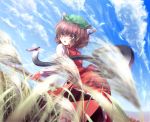  animal_ears blurry brown_hair cat_ears cat_tail chen cloud depth_of_field dragonfly dutch_angle earrings jewelry leaning_forward multiple_tails orange_eyes outdoors plant ryosios short_hair single_earring solo stare surprised tail touhou water 