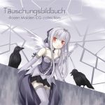  bare_shoulders bird choker crow doll_joints elbow_gloves gloves long_hair pale_skin plastic_eraser red_eyes rozen_maiden silver_hair smile solo suigintou thigh-highs thighhighs wings zettai_ryouiki 