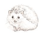  hedgehog monochrome no_humans original sketch traditional_media yoshitomi_akihito 