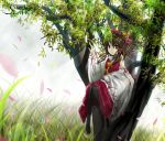  bad_id bad_leg black_pantyhose bow brown_eyes brown_hair detached_sleeves grass hair_bow hakurei_reimu in_tree pantyhose petals sitting sitting_in_tree solo sunbeam sunlight touhou tree yocchin yochinwww 