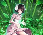  bamboo bamboo_forest brown_hair bunny_ears clover forest four-leaf_clover gayprince highres inaba_tewi magic nature open_hands outstretched_hand rabbit_ears red_eyes short_hair solo tail touhou 