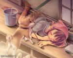  animal bandana brown_hair bucket bucket_of_water cleaning dog evening kiririn lying on_side original sleeping socks solo striped striped_socks wallpaper 