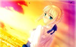  fate/stay_night saber tagme type-moon 