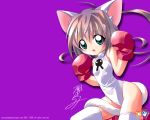  animal_ears boxing_gloves cat cat_ears catgirl gloves kazakami_shun thighhighs wallpaper 