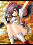  abyss_of_parliament black_wings blurry branch camera depth_of_field hat highres north_abyssor open_mouth shameimaru_aya short_hair sitting socks solo thighs touhou white_legwear white_socks wings 