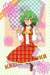  flower green_hair kazami_yuuka kio_sw red_eyes short_hair skirt skirt_set solo sunflower touhou umbrella 