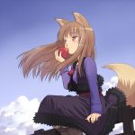  animal_ears apple blush brown_hair cloud clouds eating food fruit holo horo meow_(nekodenki) red_eyes sky solo spice_and_wolf tail wolf_ears wolf_tail 