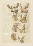  butterfly comic insect_wings leaf long_hair narumi_arata original personification translated wings 
