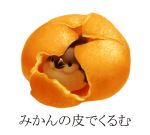  animal chabox food fruit lowres no_humans orange original simple_background solo tochimiki_(toichi) translated translation_request 