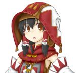  :o black_hair brown_eyes cosplay crossover detached_sleeves final_fantasy final_fantasy_xi hakurei_reimu hood miko nice open_mouth solo the_iron_of_yin_and_yang touhou white_mage 