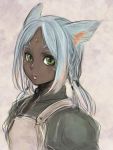  bad_id branch_(artist) branch_(blackrabbits) cat_ears dark_skin doraeshi final_fantasy final_fantasy_xiv green_eyes highres miqo'te white_hair 