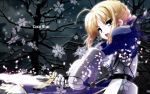  fate/stay_night saber snow sword tagme 