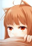  ahoge animal_ears ayakura_juu brown_hair close-up face highres holo long_hair red_eyes screening spice_and_wolf tail wolf_ears 