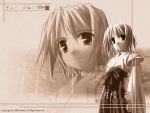  miko tsukishiro_hikari wallpaper wind wind_a_breath_of_heart 